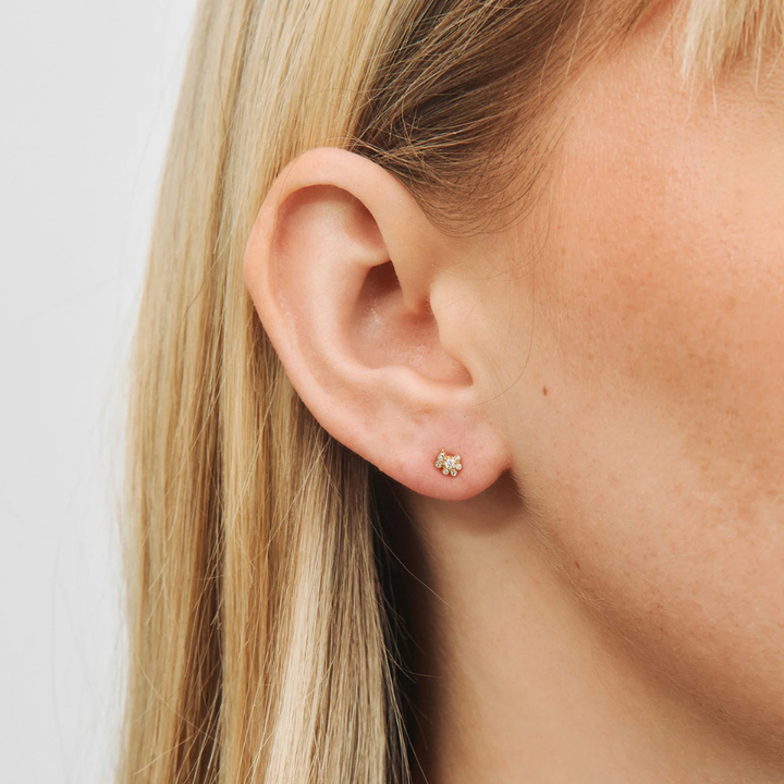 Studio Z - Lace ørestikker i forgyldt med zirkonia, 5mm - 7217963