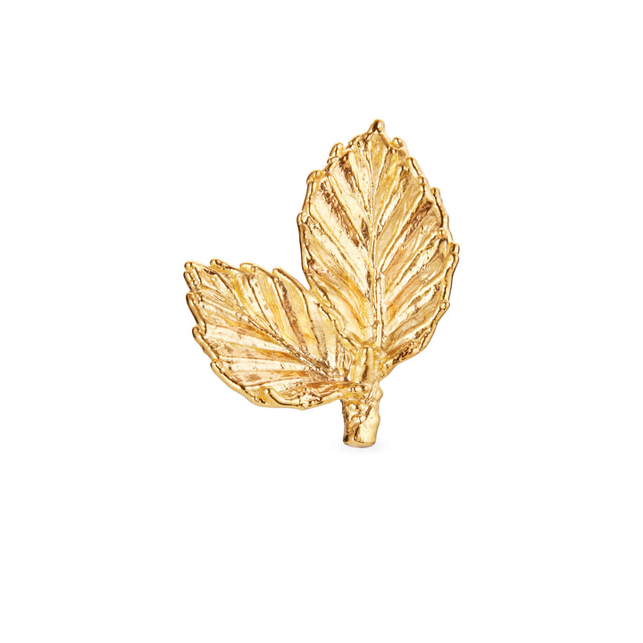 Flora Danica - Bøgeblad pin broche i guldbelagt sølv - bl-pi-g