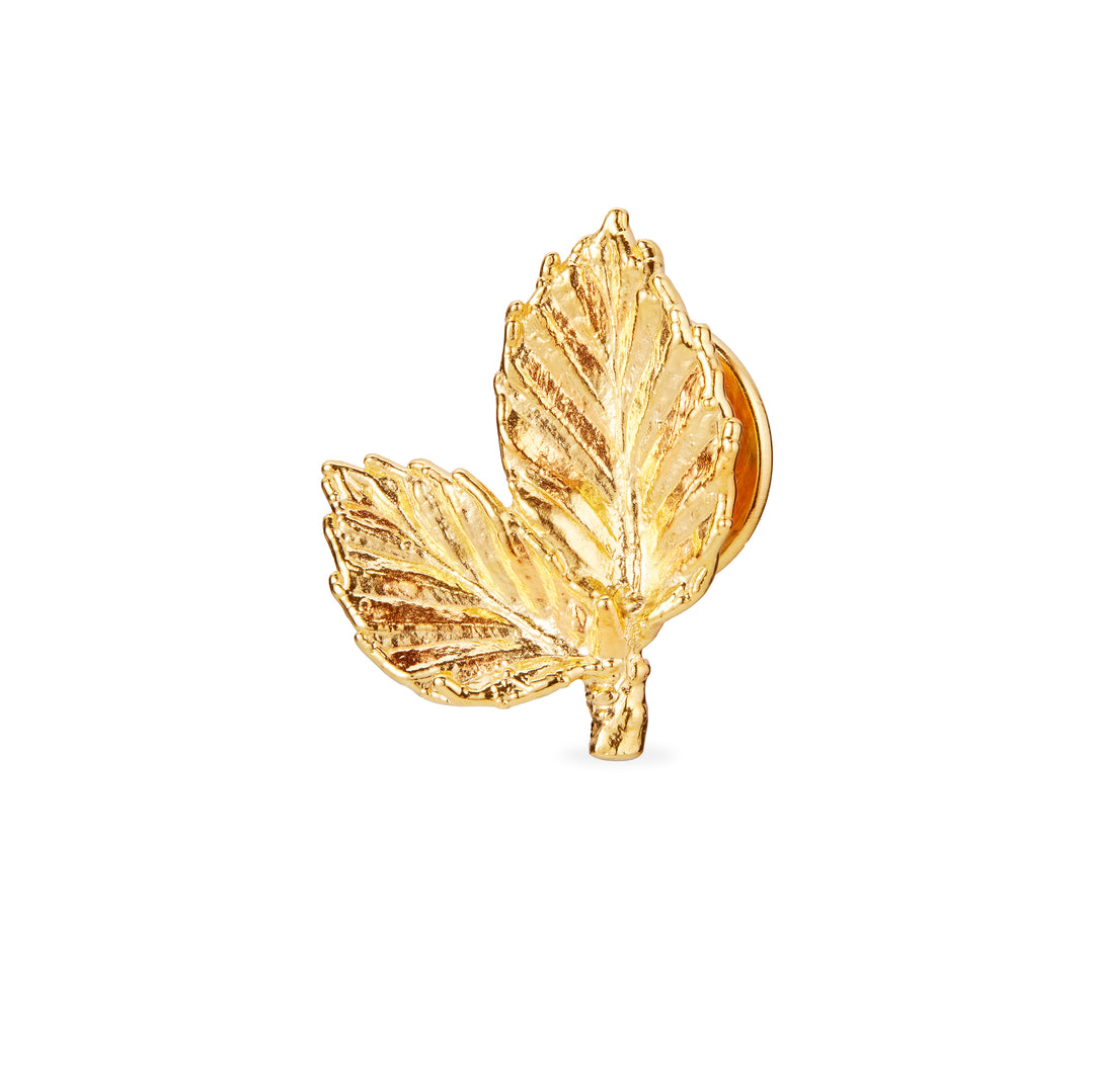 Flora Danica - Bøgeblad pin broche i guldbelagt sølv - bl-pi-g