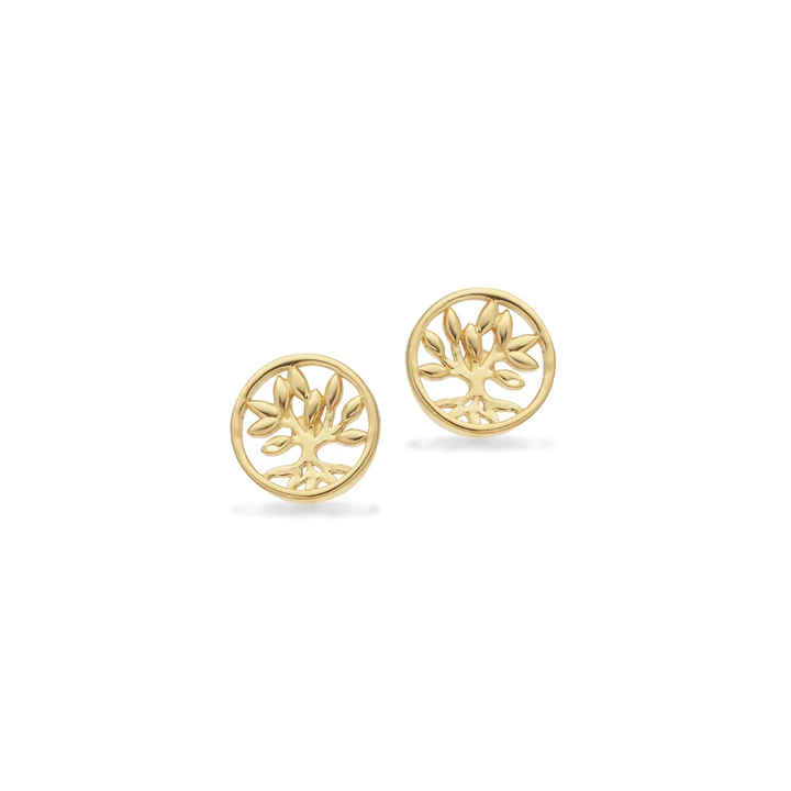 Scrouples - Livetstræ ørestikker i guldbelag sølv - 159212fg