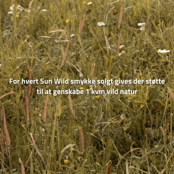 byBiehl - Sun wild charm i forgyldt - 7-5203-GP-b