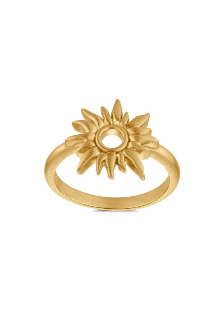 byBiehl - Sun Wild ring i forgyld sølv - 5-4208-gp