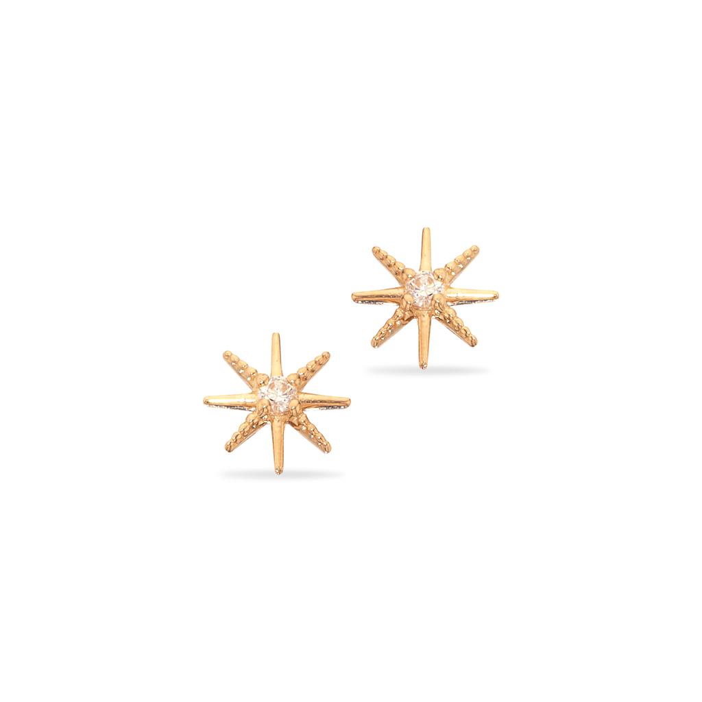Scrouples - 8 karat guld stjerne ørestikker med sten - 122043