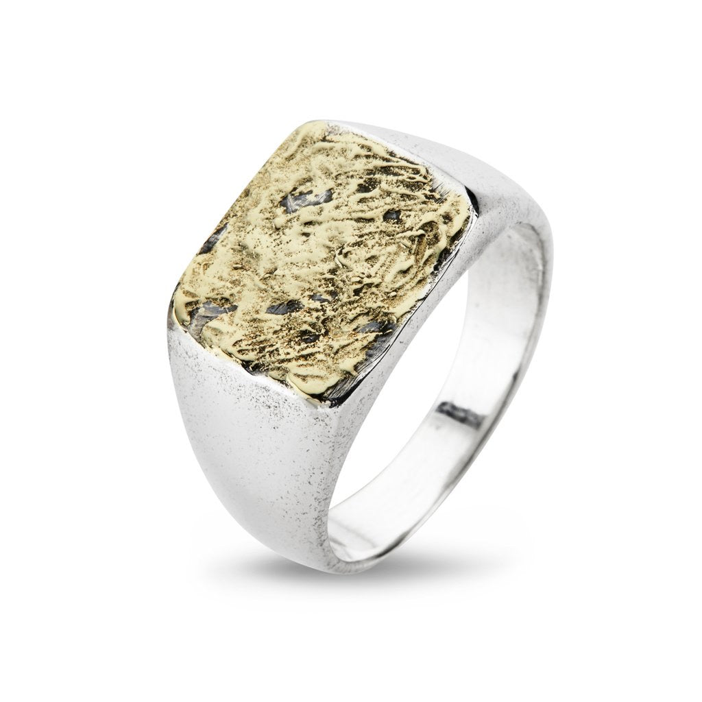 Sølv ring med guld fra byBirdie-50110190g